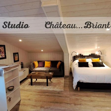 Studio-Centre Ville Châteaubriant Exterior foto